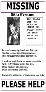 Niki-missing-poster