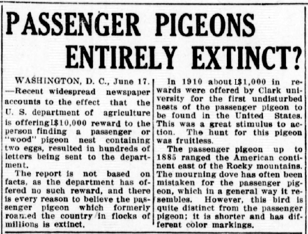 passenger-pigeons